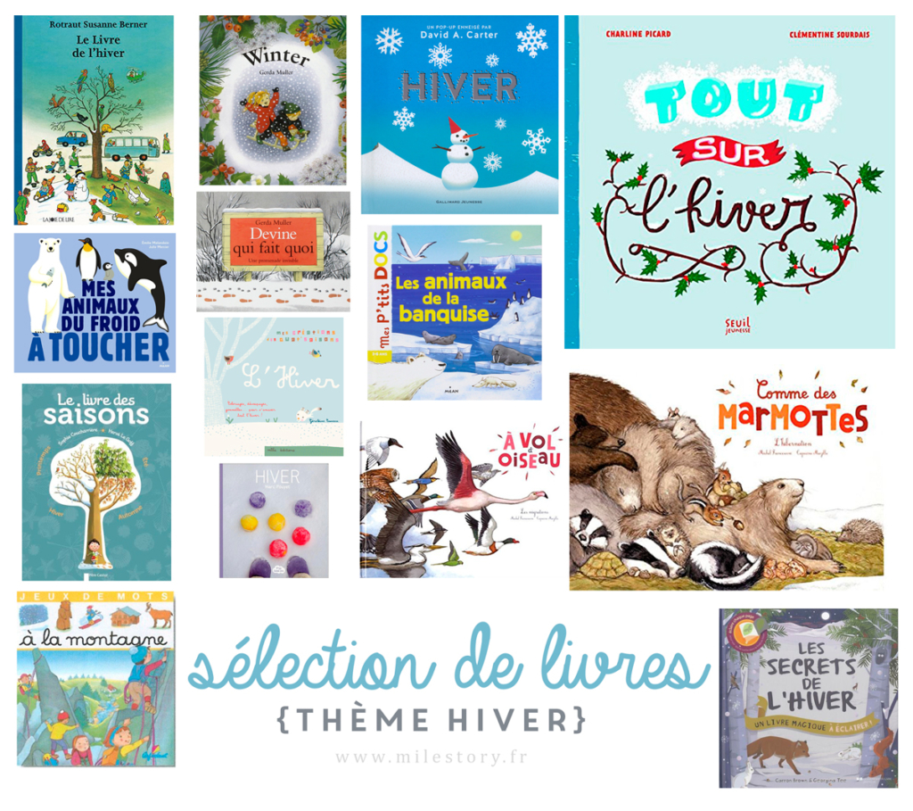 Ief Récap Activités De Lhiver Imagier De Lhiver Livres - 