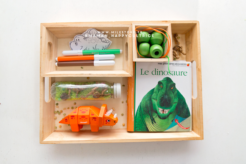 Livres Et Activites Dinosaures En Maternelle Milestory