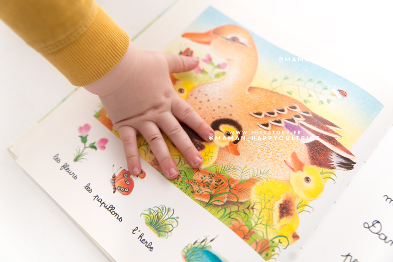 Livre autocollant Les bébés animaux, Ed LITO : Livres pour enfants  ÉDITIONS LITO maison - botanic®