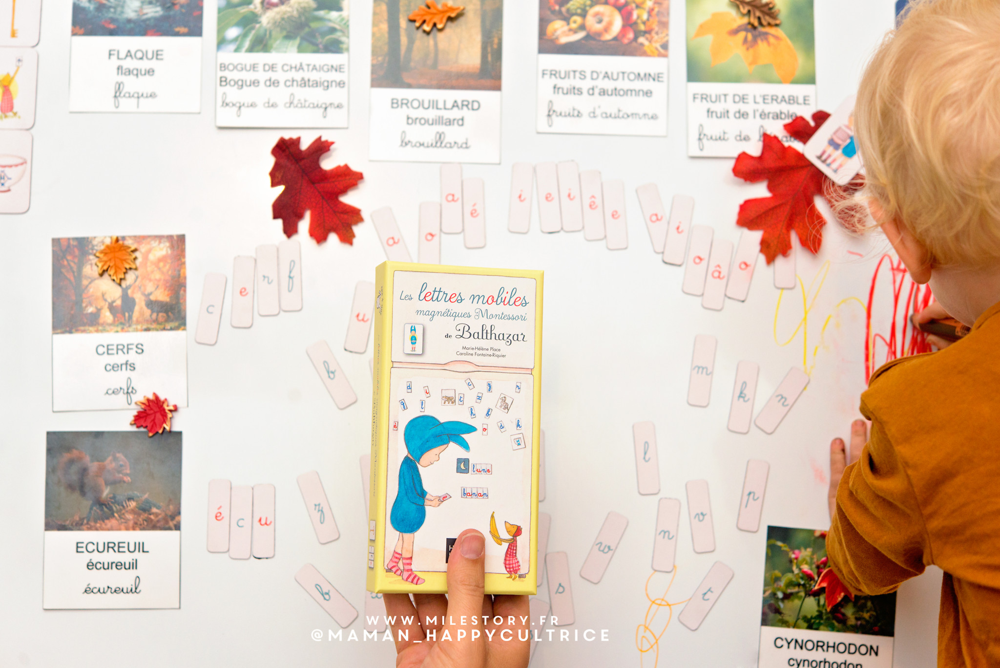 Coffret Les Lettres Mobiles Magnetiques Montessori De Balthazar Hatier Jeunesse Milestory