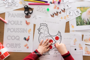 Activités poule en maternelle : cycle de vie poule, morphologie poule