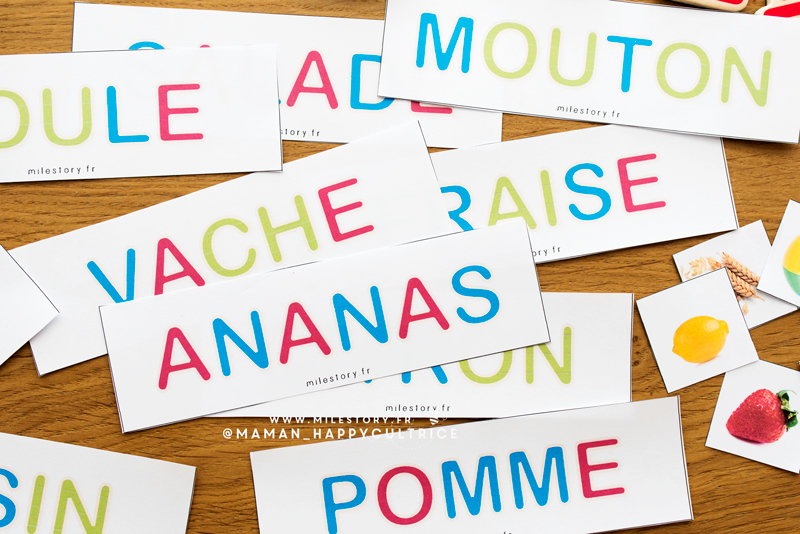 Lecture Montessori : Apprendre à lire avec les lettres magnétiques de Céline  Alvarez ! 